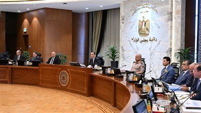 متحدث الوزراء: لجنة الأزمات تتابع التصعيد بالمنطقة وتنفذ خططًا استباقية لحماية مصر - الخليج الان
