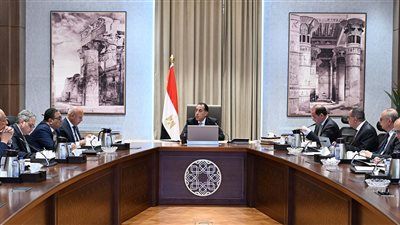 الحكومة تتحرك استباقيًا لمواجهة أي اضطرابات إقليمية.. وخطة لتفادي تخفيف الأحمال في الصيف - الخليج الان