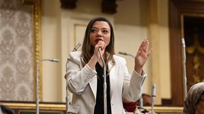 نائبة التنسيقية مي كرم جبر توافق على مشروع موازنة العام المالي 2025 - 2026.. وتدعو للاهتمام بالصناعة والزراعة - الخليج الان