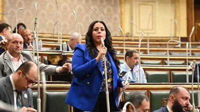 مرثا محروس "نائبة التنسيقية": تعديلات قانون الموارد المائية يحافظ على الرقعة الزراعية والأمن الغذائي - الخليج الان