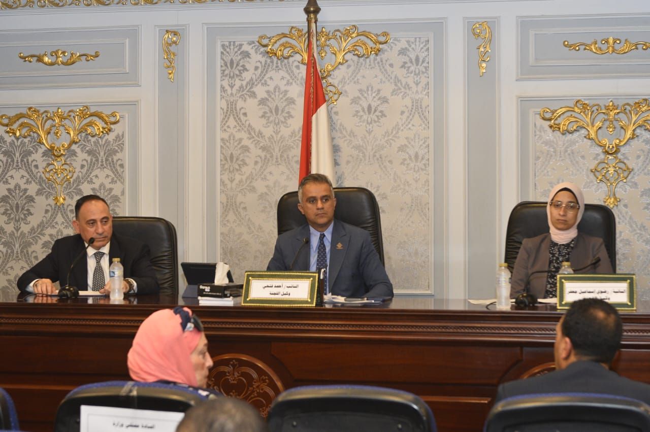 تضامن البرلمان تناقش طلب النائب محمد زين الدين بشأن مشكلات تكافل وكرامة.. وتوصي بالتنسيق مع جهاز المشروعات الصغيرة - الخليج الان