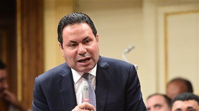 النائب هشام الحصرى يطالب بالتنسيق بين جهات الولاية ووزارة الرى قبل تخصيص الأراضى - الخليج الان