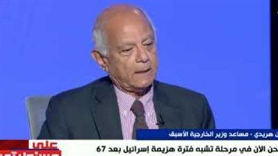 مساعد وزير الخارجية الأسبق: هناك خلافات تاريخية بين مصر والثورة الإسلامية لكن مصير المنطقة يقرره أبناؤها - الخليج الان