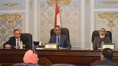 تضامن البرلمان تناقش طلب النائب محمد زين الدين بشأن مشكلات تكافل وكرامة.. وتوصي بالتنسيق مع جهاز المشروعات الصغيرة - الخليج الان