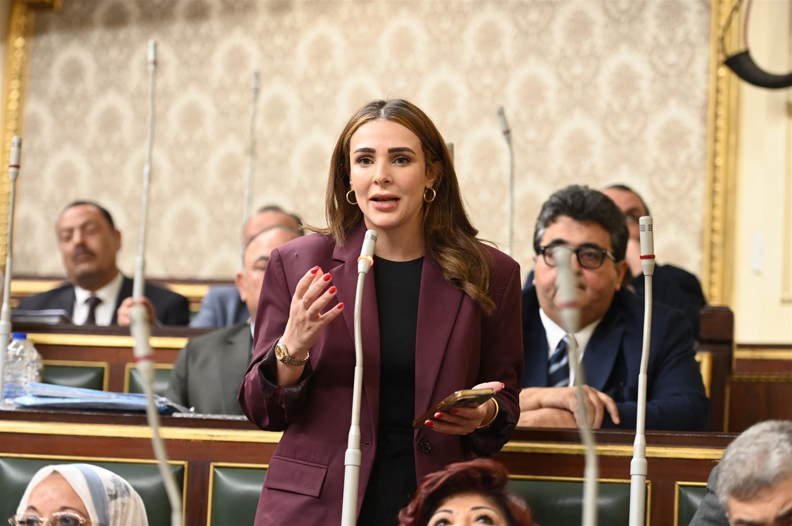 النائبة فاطمة سليم توجه أسئلة  للحكومة حول مراعاة أحداث المنطقة فى تقديرات الموازنة العامة للدولة وخطة التعامل معها - الخليج الان