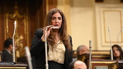 نائبة التنسيقية أميرة العادلي خلال مناقشة الموازنة العامة للدولة 26/25: الأرقام لا تكذب.. وزيادات الدعم والأجور لا تُعادل الغلاء - الخليج الان