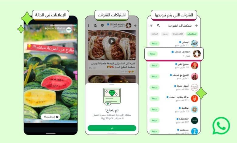 لأول مرة .. واتساب تبدأ عرض الإعلانات في تبويب “التحديثات” - الخليج الان