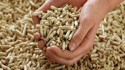 الزراعة تنفي وجود اى عجز فى خامات الأعلاف المستوردة والمحلية - الخليج الان