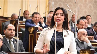 غادة علي "نائبة التنسيقية" تقدم توصية لتعزيز قدرة الموازنة على الصمود امام المستجدات - الخليج الان