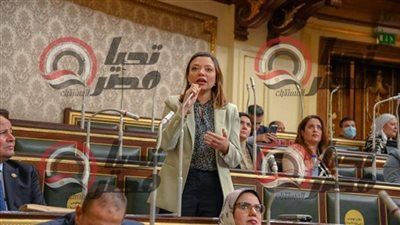 نائبة التنسيقية مى كرم جبر توافق على مشروع قانون تغليظ العقوبة علي حفر الآبار بدون ترخيص - الخليج الان