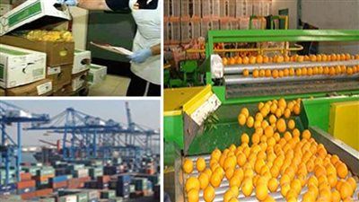 شهادة دولية للحجر الزراعي المصري.. خطوة جديدة نحو أسواق تصدير أكثر ثقة - الخليج الان