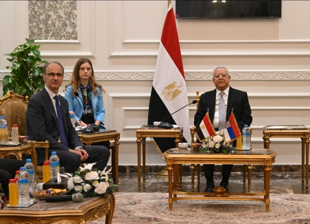 المستشار الدكتور حنفي جبالي يستقبل رئيس وزراء جمهورية صربيا - الخليج الان