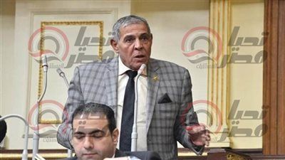 أمين سر إسكان النواب لتحيا مصر: رفع قيمة الإيجار إلي 250 جنيه كحد أدني مناسبة للجميع واللائحة التنفيذية ستحدد آليات تنفيذ إخلاء الشقق السكنية - الخليج الان