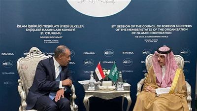 على هامش اجتماعات منظمة التعاون الإسلامي في أسطنبول.. وزير الخارجية والهجرة يلتقي بنظيره السعودي - الخليج الان