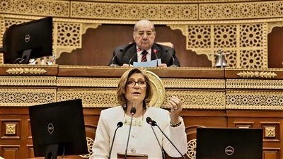 النائبة هبة شاروبيم تحذر: أفلام سينمائية لبطل ونجم سينمائي تروج للتنمر.. ودراسات تكشف آثاره البيولوجية الخطيرة - الخليج الان