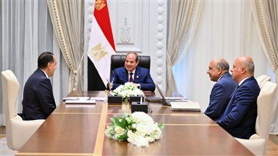 السيسي يتابع تنفيذ خطة تطوير الكهرباء والطاقة المتجددة ويوجه بتكثيف الاستثمارات وتوطين الصناعة - الخليج الان