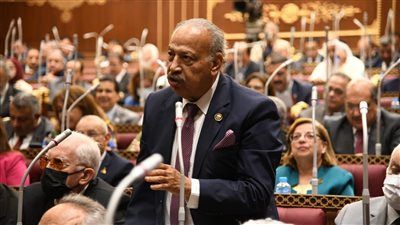 النائب هاني العسال: مجلس الشيوخ جسّد نموذجًا برلمانيًا راقيًا في دعم التشريع وبناء الجمهورية الجديدة - الخليج الان