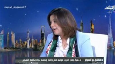 أستاذ بمعهد التخطيط القومي: تقارير "إسرائيلية" تزعم إن الدول العربية لا تستطيع حماية نفسها - الخليج الان