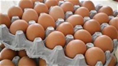 أسعار كرتونة البيض اليوم الجمعة 27 يونيو في الأسواق - الخليج الان
