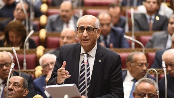 ثورة 30 يونيو.. حين انتصر الوعي والانتماء للوطن - الخليج الان