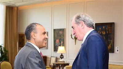 وزير الخارجية: نجدد موقف مصر الرافض لتهجير الفلسطينيين من أرضهم - الخليج الان