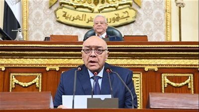 النائب وحيد قرقر يطالب بصياغة حازمة فى توفير مساكن بديلة بقانون الإيجار القديم - الخليج الان