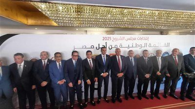 عبد السند يمامة يمثل حزب الوفد في اجتماع الأحزاب بشأن قائمة الشيوخ بمستقبل وطن - الخليج الان