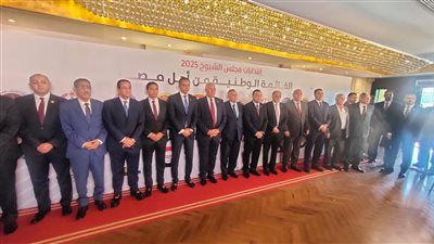 علاء عبد النبى يمثل الإصلاح والتنمية باجتماع الأحزاب في مستقبل وطن بشأن قائمة الشيوخ - الخليج الان