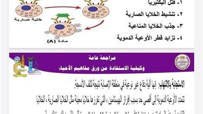 أضمن الدرجة النهائية وراجع صح.. مراجعة ليلة الامتحان فى مادة الأحياء للثانوية العامة 2025 - الخليج الان