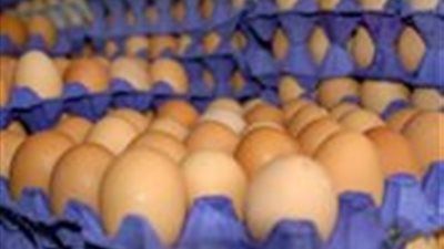 أسعار البيض والألبان والسمن تقفز وتيرة جديدة.. ما مستقبل التضخم الغذائي؟ - الخليج الان