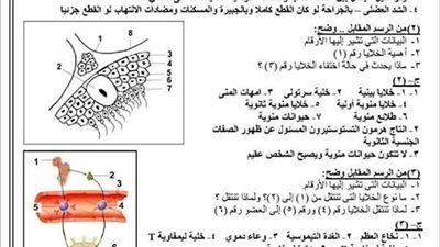 لازم يجي منها فى الامتحان.. الأسئلة المتوقعة فى مادة الأحياء للثانوية العامة بالإجابات - الخليج الان