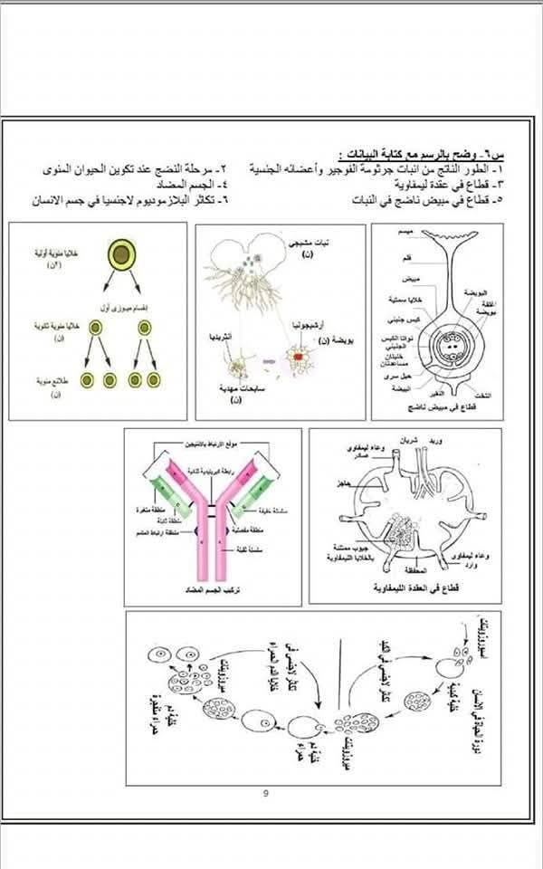 لازم يجي منها فى الامتحان.. الأسئلة المتوقعة فى مادة الأحياء للثانوية العامة بالإجابات - الخليج الان