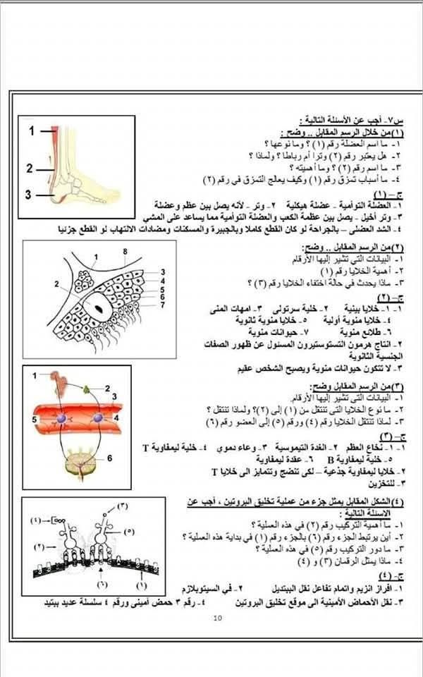 لازم يجي منها فى الامتحان.. الأسئلة المتوقعة فى مادة الأحياء للثانوية العامة بالإجابات - الخليج الان
