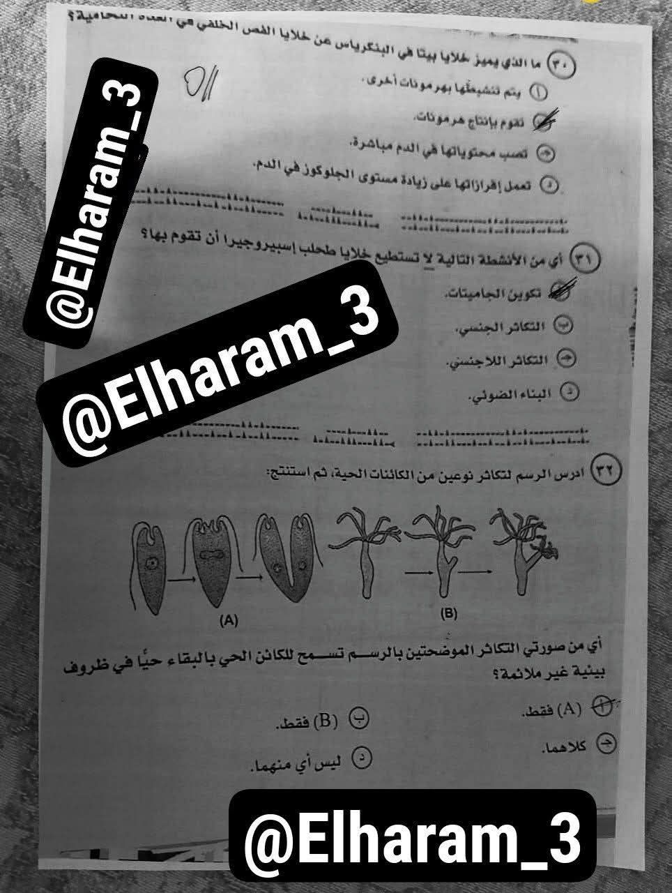 بدء الامتحان الاخير للطلاب فى ماراثون امتحانات الثانوية العامة 2025 - الخليج الان