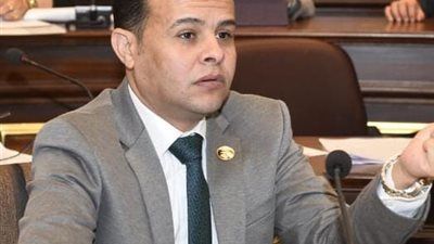 مدحت الكمار: المشاركة في انتخابات الشيوخ واجب وطني وشراكة في بناء مستقبل مصر - الخليج الان