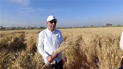 جهود محافظة المنيا في تطوير القطاع الزراعي..رؤية استراتيجية للنهوض بالزراعة المصرية - الخليج الان