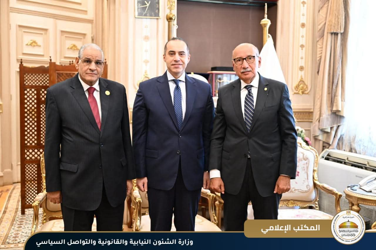 المستشار محمود فوزي يلتقي المستشار عاصم الغايش رئيس محكمة النقض ورئيس مجلس القضاء الأعلى لتهنئته بالمنصب - الخليج الان