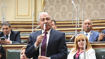 رئيس دفاع النواب: القيادة السياسية المصرية تضع مستقبل القارة الإفريقية على رأس أولوياتها - الخليج الان