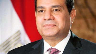 السيسي يتابع جهود تأمين الغذاء: احتياطي آمن من السلع وتوسع في الزراعة وتطوير السلاسل التجارية - الخليج الان