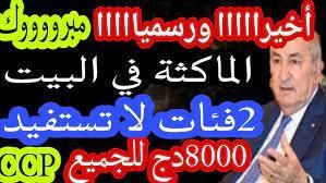 ما تفوتكي.. منحة المرأة الماكثة في البيت 2025 بالجزائر بقيمة 800 دينار احصلي بمجان