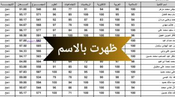 تابع اعتراضك.. خطوات اعتراض نتائج الصف السادس الابتدائي 2025 بكل وضوح