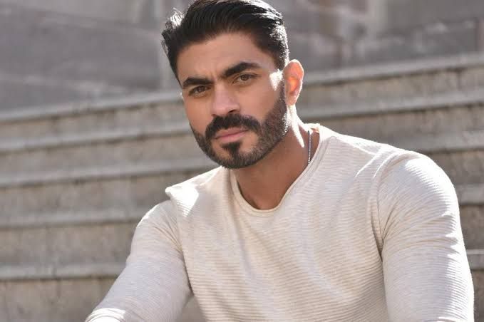 اتنمروا عليا بسبب المرض وأنا من جمهور عمرو دياب.. أبرز تصريحات خالد سليم مع صاحبة السعادة - الخليج الان