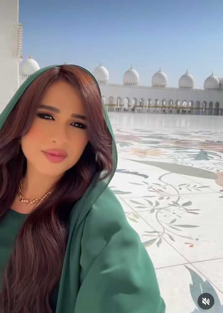 ياسمين عبد العزيز تثير الجدل بالحجاب.. ما القصة؟ - الخليج الان