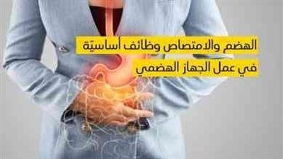 4 خطوات بعد الأكل قد تغير حياتك.. نصائح للهضم والسكر - الخليج الان