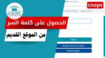 رابط الأسر جاهز.. رابط التسجيل كنوبس الجديد في المغرب 2025 لجميع الأسر