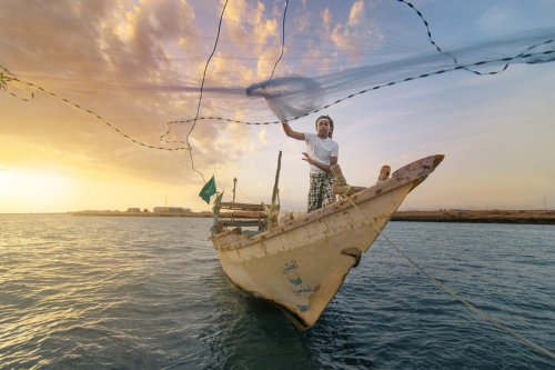 انخفاض صادم في أسعار الأسماك بجدة.. بأسعار لم تُشهد منذ سنوات وسرٌ غيّر قواعد اللعبة