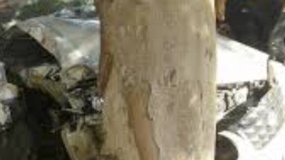 بالأسماء.. إصابة 8 ممرضات في حادث تصادم سيارة أجرة بطريق ترسا – سنهور بالفيوم - الخليج الان