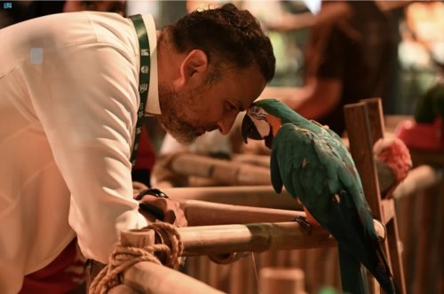 اكتشف كيف غيّرت غابة العجائب في موسم جدة 2025 طريقة الأطفال في التعلّم