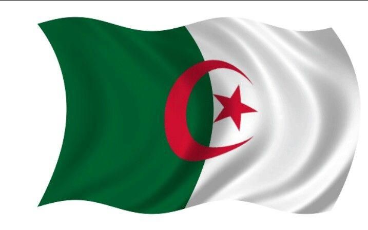 خليك مطمئن.. تجديد منحة البطالة الجزائرية 2025 بخطوات بسيطة