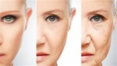 ثلاث أغذية تؤخر الشيخوخة.. ماذا يقول العلم عن تأثيرها على الخلايا؟ - الخليج الان